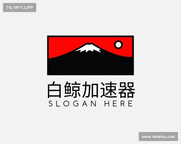 关于白鲸加速器